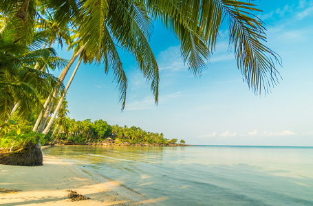 14 дни Кариби