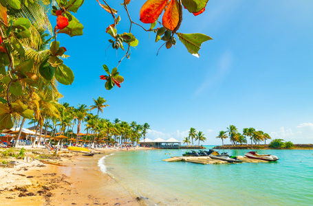 7 дни САЩ, Вирджински острови, Пуерто Рико