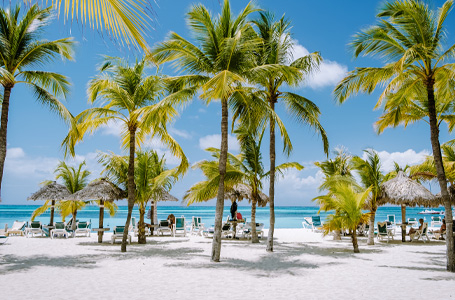 10 дни Пуерто Рико, Аруба, Барбадос, Гваделупа