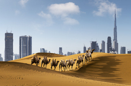 7 дни Обединени арабски емирства, Бахрейн, Катар