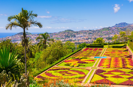 Канарски острови от София