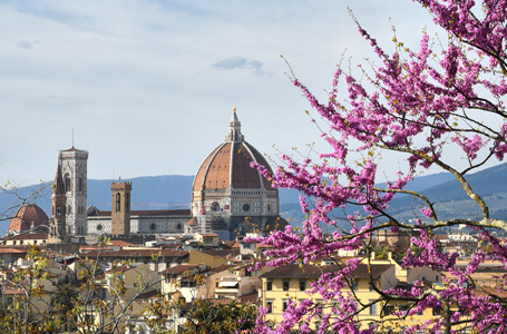 8 дни Средиземноморски круиз с водач