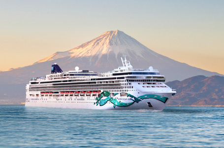 11 дни Япония