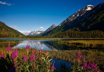 Alaska nature
